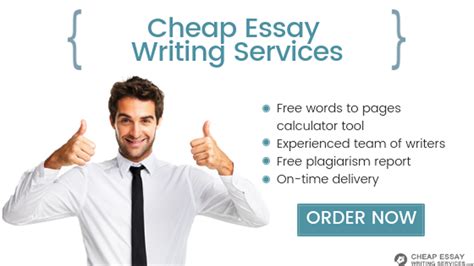 Sample essays for editing practice